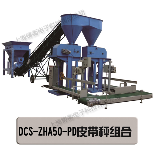 雙斗雙頭定量包裝秤