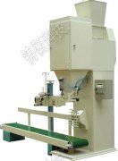 ���o�C�ʰ��b��