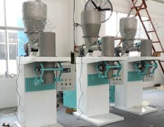 <b>�����������b�C���B</b>